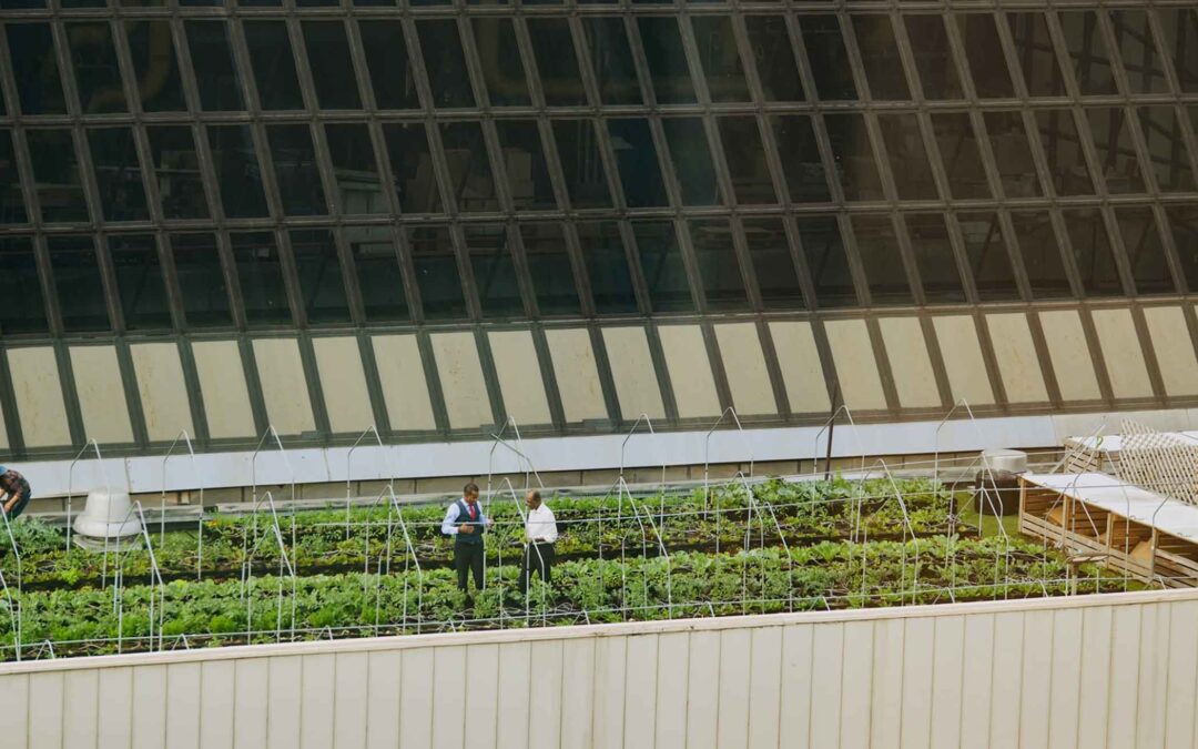 The Roadmap to Profitable Healthcare Sustainability Management