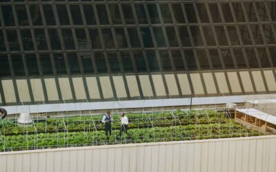 The Roadmap to Profitable Healthcare Sustainability Management